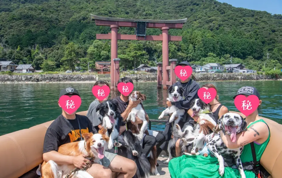 帶狗一日遊